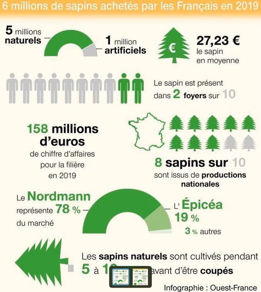 infographie sapin de Noël Ouest france noel provenance sapin morvan épicea nordmann
